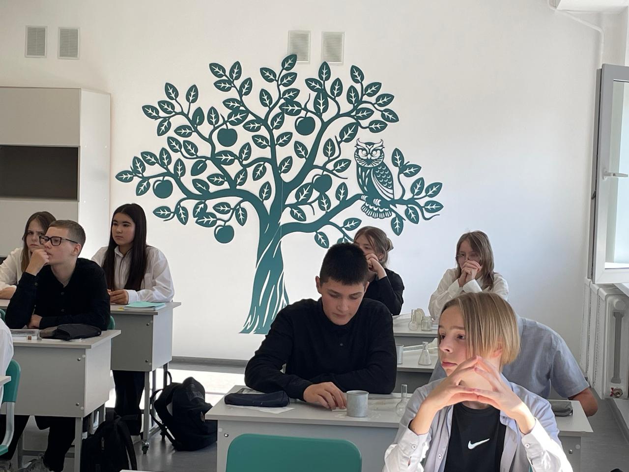 23533fb1-ec84-47f3-b47d-5cdd3a40f6c0